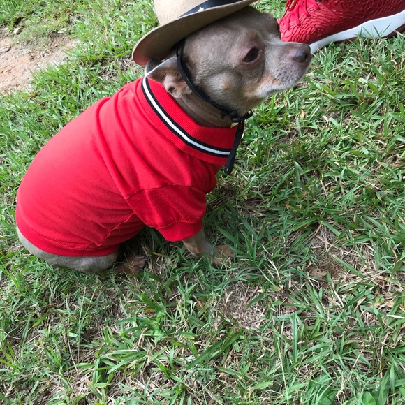 🛑 COMMENTS ARE FULL PLEASE LIKE NEW GAME!🛑 - Picture 14 of 15